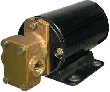 GEAR PUMP FOR OIL AND WATER DISCHARGE (#34-GPB1) - Click Here to See Product Details