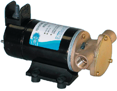 REVERSIBLE ROTARY VANE PUMP (#6-186801000)