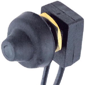 PUSH BUTTON SWITCH (#9-0701DP)