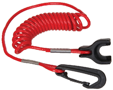 IGNITION LANYARDS (#11-MP28890) - Click Here to See Product Details